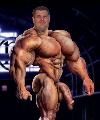 Paul Wilcenski