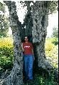 Caesandra Seawell
