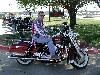 Wayne Long