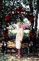 Mary Holub