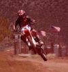 Dwayne Rouse