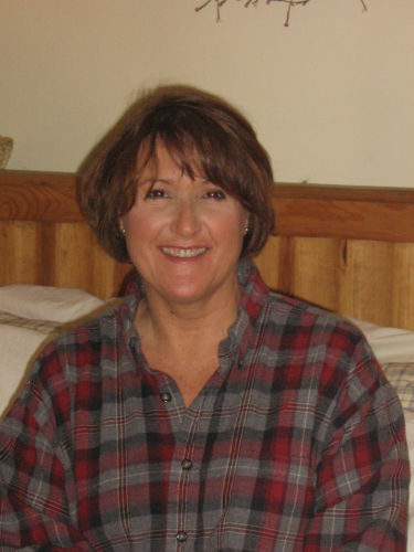Lisa Haines