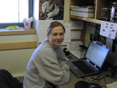 Donna Friel