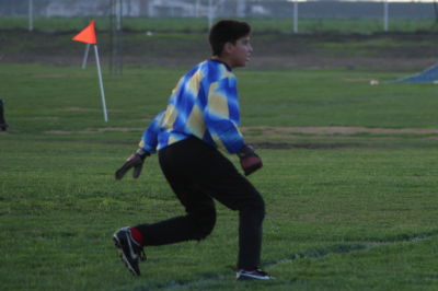 Gavin Gilberto