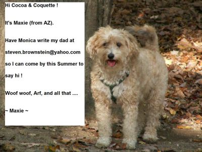 Steven Brownstein