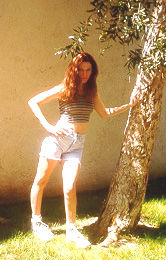Laurie Lamb