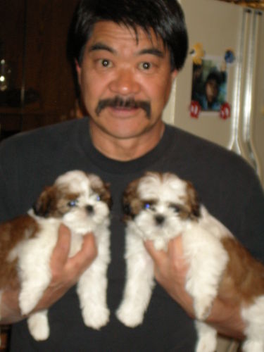 Tommy Segawa