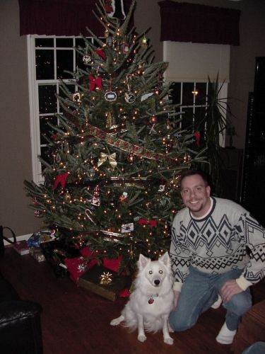 Greg Liberto