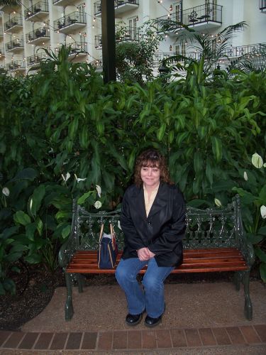 Cheryl Schneedle