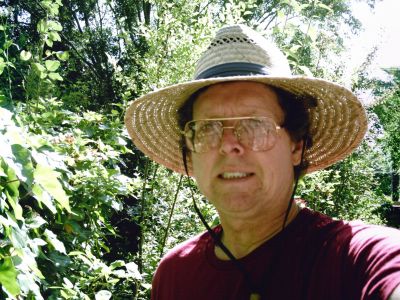 Steven Wills