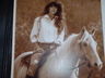 Kimberly Warnell