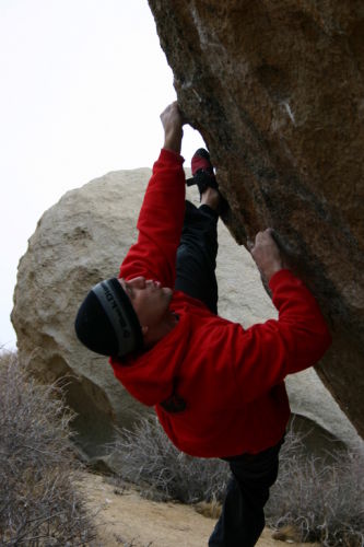 Craig Lewis