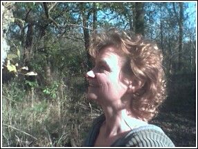 Carol Wilson