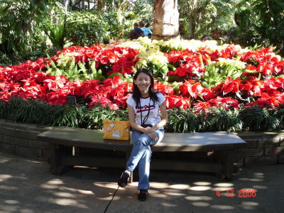 Phong Bui