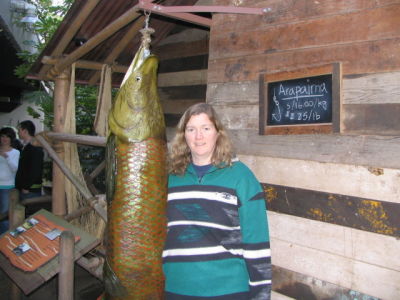 Karen Honeycutt