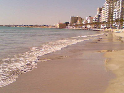 Hassan Aoun