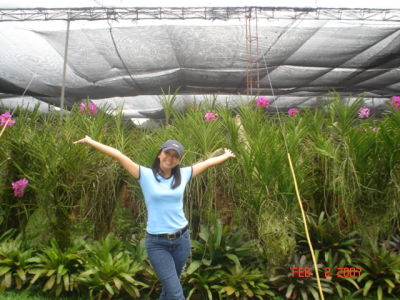 Joyce Briones