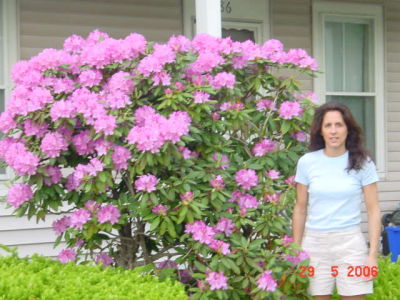Lynn Colangelo