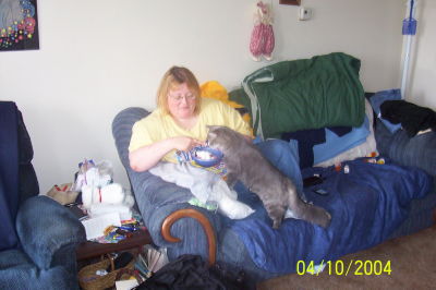 Lisa Johnson