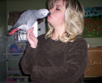Stacy Shue