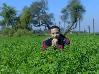 Mohamed Afifi