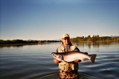 Kevin Mcdill