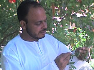 Naveed Afzal
