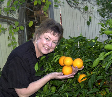 Constance Acree