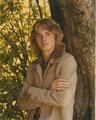 Timothy Harpe