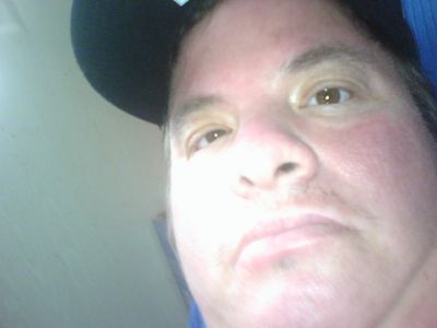 David Haynes