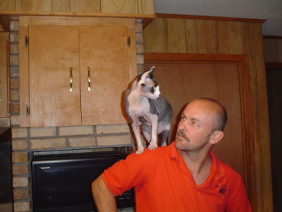 Jeffrey Waggle