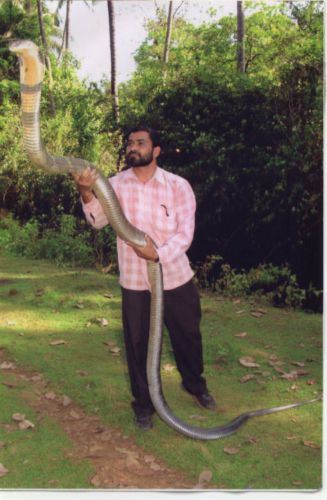Junaid Haider