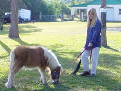 Sherri Hanson