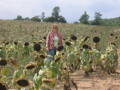 Maureen Taylor
