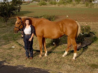Wendy Rossman