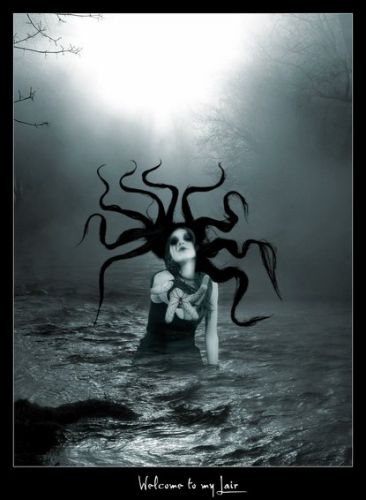 Cynthia Shea