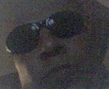 Harold Cardoza