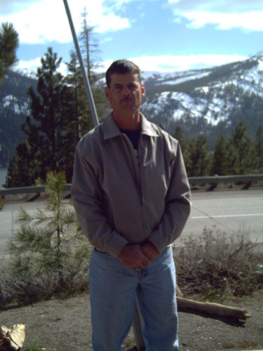 Martin Halstead