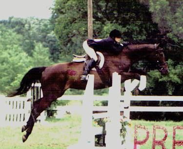 Heather Cross