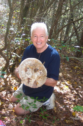 Alan Dupureur