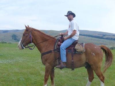 Phillip Ziegler