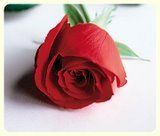 Dev Singh