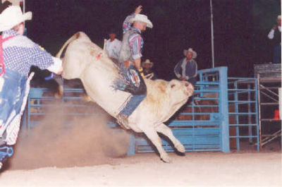 Brian Casselman