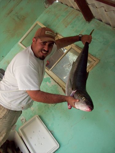Erico Romero