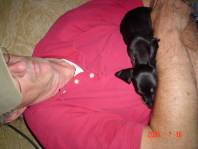 Bill Peden