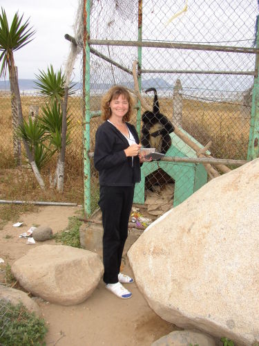 Susan Ison