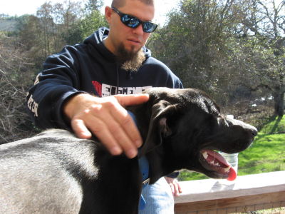 Brian Ambrose