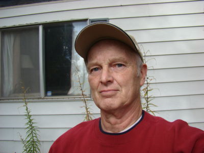David Link