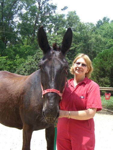Rosemary Bottcher