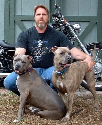 John Diehlmann